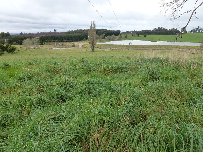 40 Quamby Brook Road, Deloraine TAS 7304