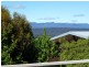 51 Moriarty Street, Deloraine TAS 7304