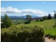 51 Moriarty Street, Deloraine TAS 7304
