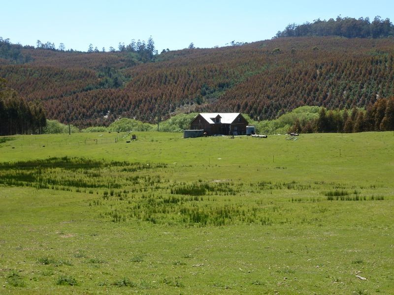 2317 Frankford Road, Frankford TAS 7275