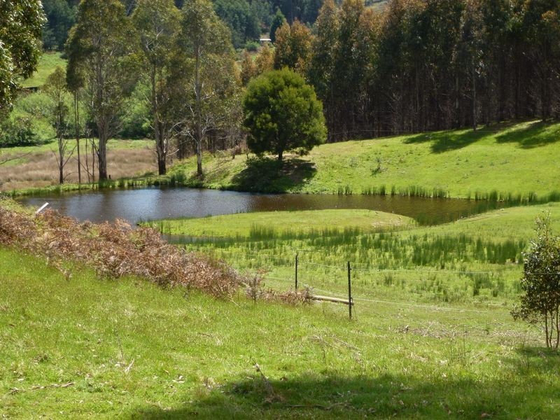 2317 Frankford Road, Frankford TAS 7275