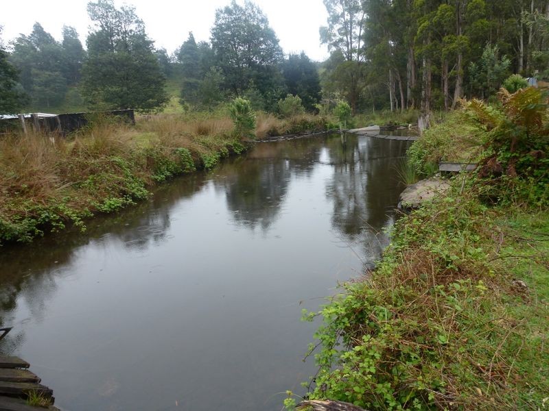 46 Meander Falls Road, Meander TAS 7304