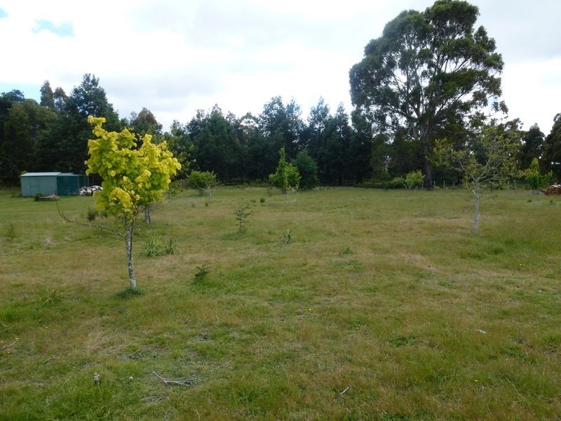 13582 Highland Lakes Road, Golden Valley TAS 7304