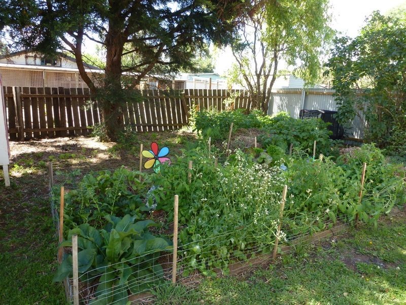 27 Taylor Street, Westbury TAS 7303