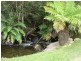 760 Western Creek Road, Western Creek TAS 7304