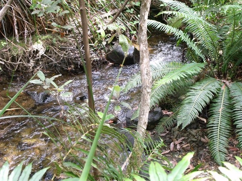 760 Western Creek Road, Western Creek TAS 7304