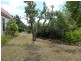 99 Dexter Street, Westbury TAS 7303
