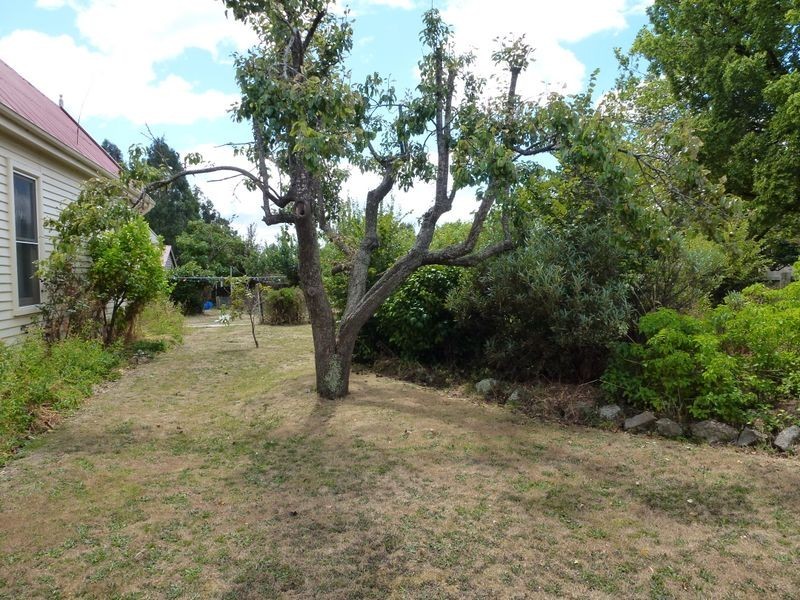 99 Dexter Street, Westbury TAS 7303