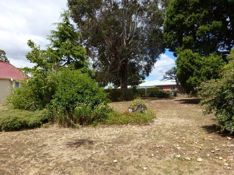 99 Dexter Street, Westbury TAS 7303
