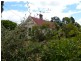 99 Dexter Street, Westbury TAS 7303