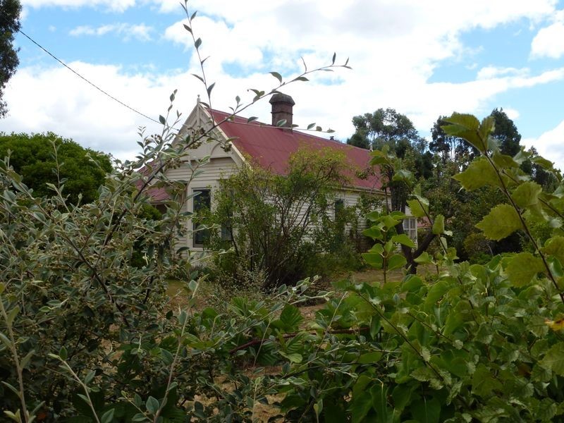 99 Dexter Street, Westbury TAS 7303