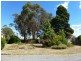 99 Dexter Street, Westbury TAS 7303