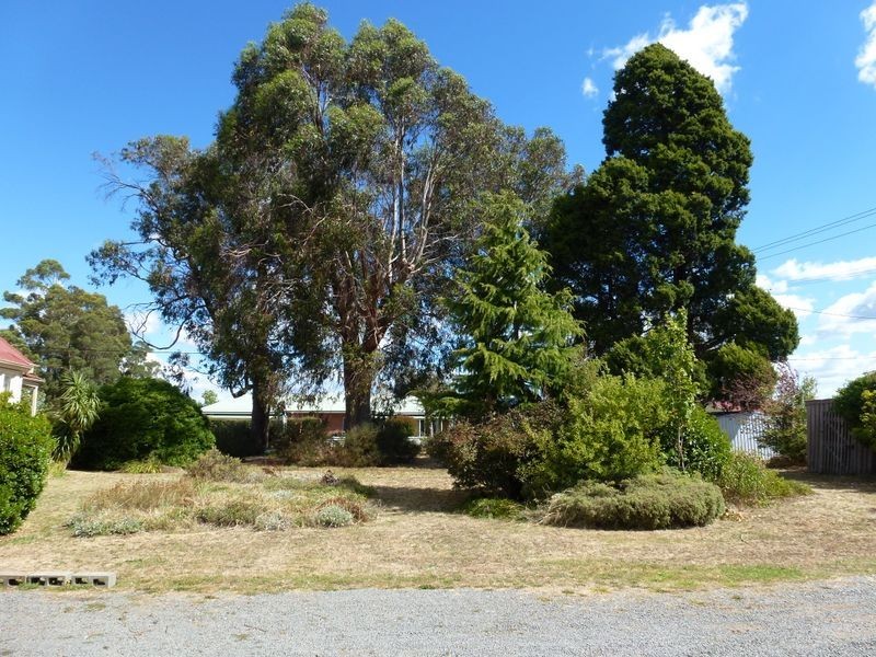 99 Dexter Street, Westbury TAS 7303