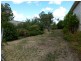 99 Dexter Street, Westbury TAS 7303