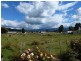 Lot 2 Sorrell Street, Chudleigh TAS 7304