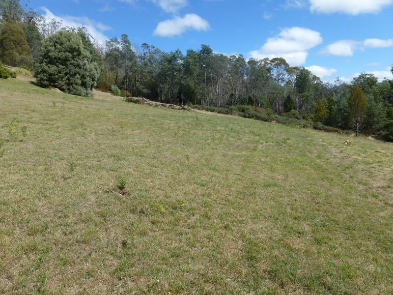 120 Pumicestone Road, Deloraine TAS 7304