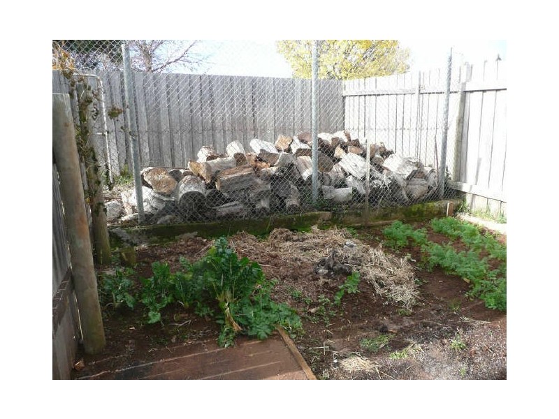 29 Moriarty Street, Deloraine TAS 7304