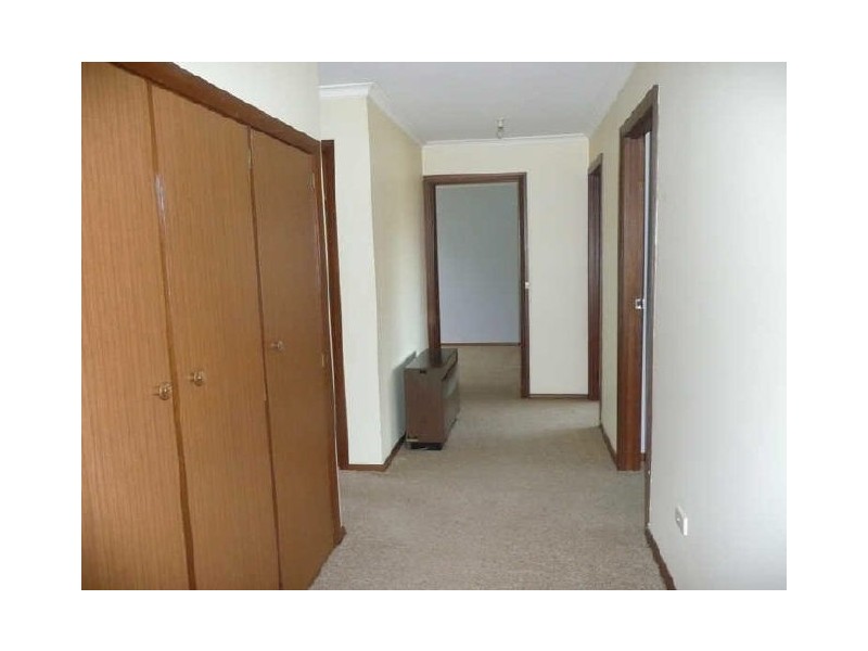 29 Moriarty Street, Deloraine TAS 7304