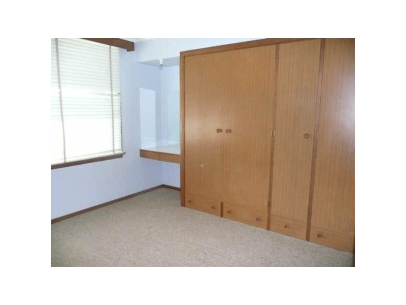 29 Moriarty Street, Deloraine TAS 7304