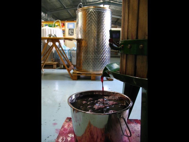 21 Lansdowne Place, Deloraine TAS 7304