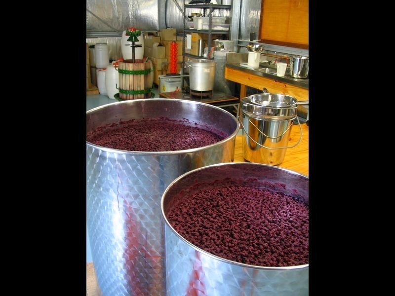 21 Lansdowne Place, Deloraine TAS 7304