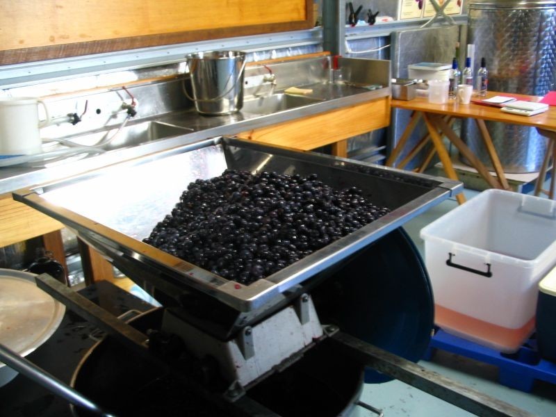 21 Lansdowne Place, Deloraine TAS 7304