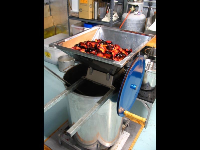 21 Lansdowne Place, Deloraine TAS 7304