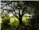 1221 Weegena Road, Dunorlan TAS 7304