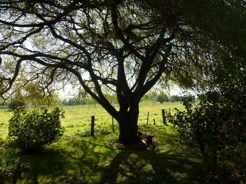 1221 Weegena Road, Dunorlan TAS 7304