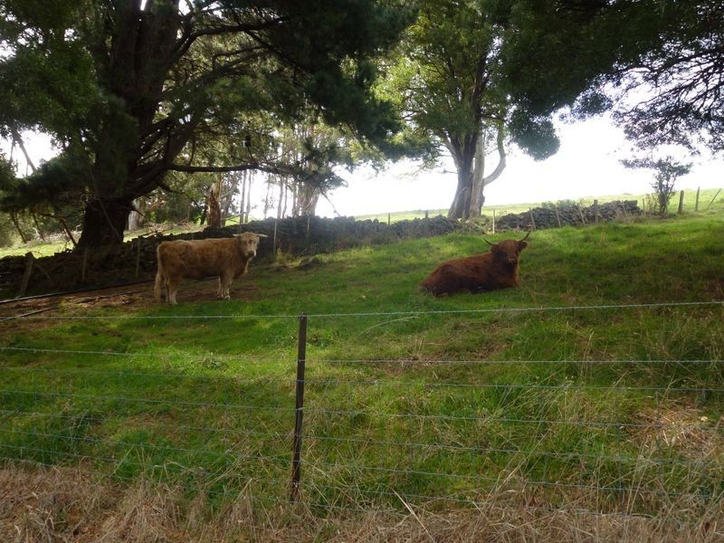 259 Stoodley Road, Stoodley TAS 7306