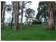 6059 Bass Highway, Elizabeth Town TAS 7304