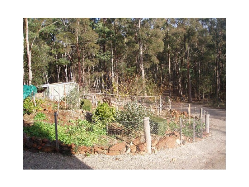 21 Johns Road, Deloraine TAS 7304
