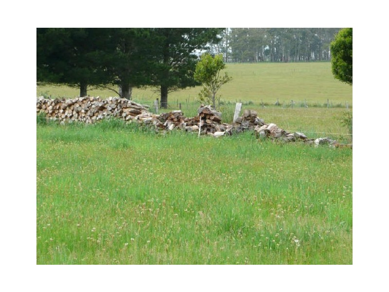 Fernleigh Road, Caveside TAS 7304