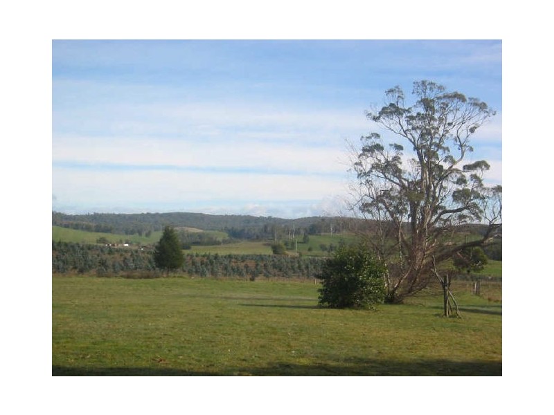 180 Wandilla Road, Quamby Brook TAS 7304