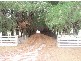 Bogan Road, Golden Valley TAS 7304
