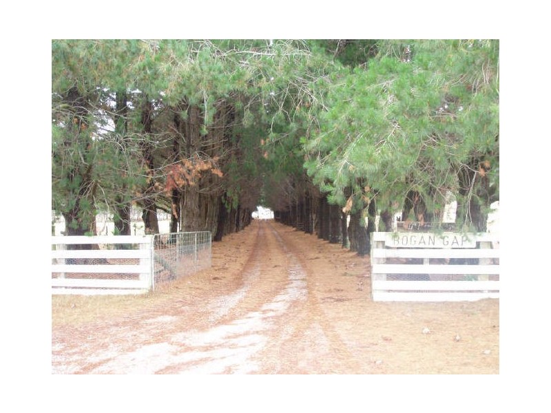 Bogan Road, Golden Valley TAS 7304