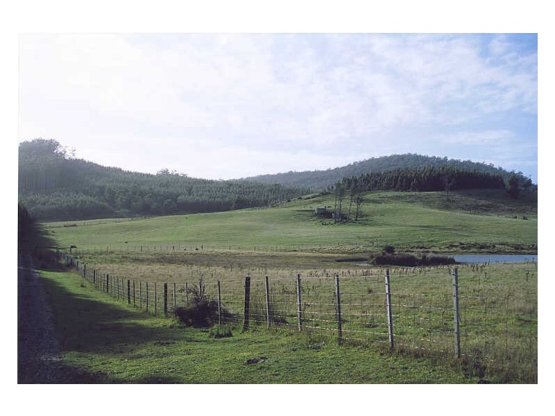 114 Kellys Road, Reedy Marsh TAS 7304