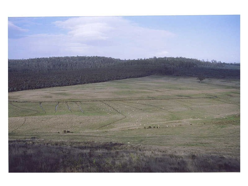 114 Kellys Road, Reedy Marsh TAS 7304