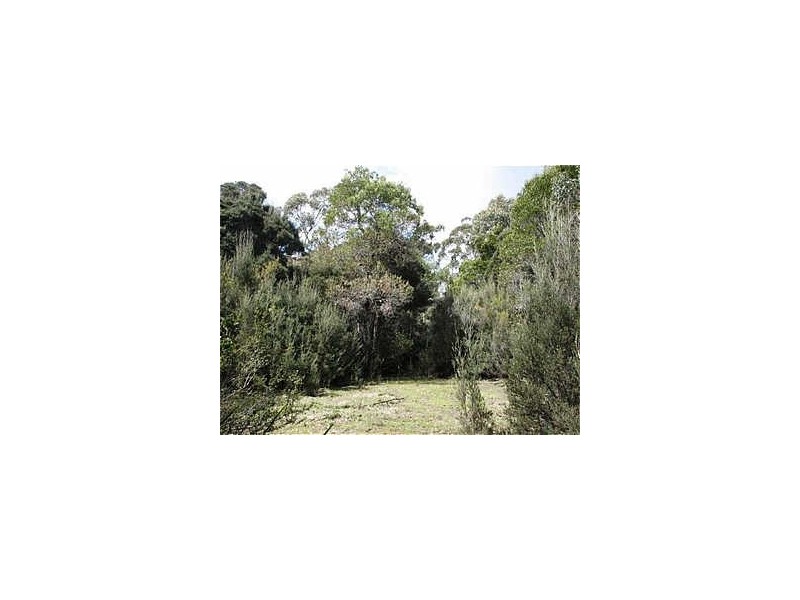 Kellys Road, Reedy Marsh TAS 7304