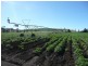 280 Exton Road, Exton TAS 7303