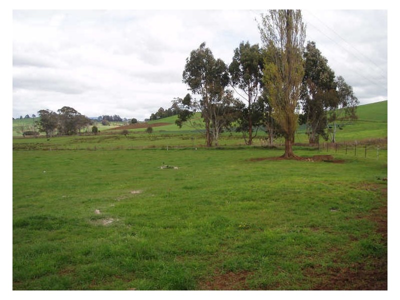 280 Exton Road, Exton TAS 7303