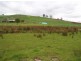 280 Exton Road, Exton TAS 7303