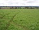 280 Exton Road, Exton TAS 7303