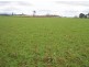 280 Exton Road, Exton TAS 7303