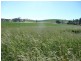 280 Exton Road, Exton TAS 7303