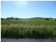 280 Exton Road, Exton TAS 7303