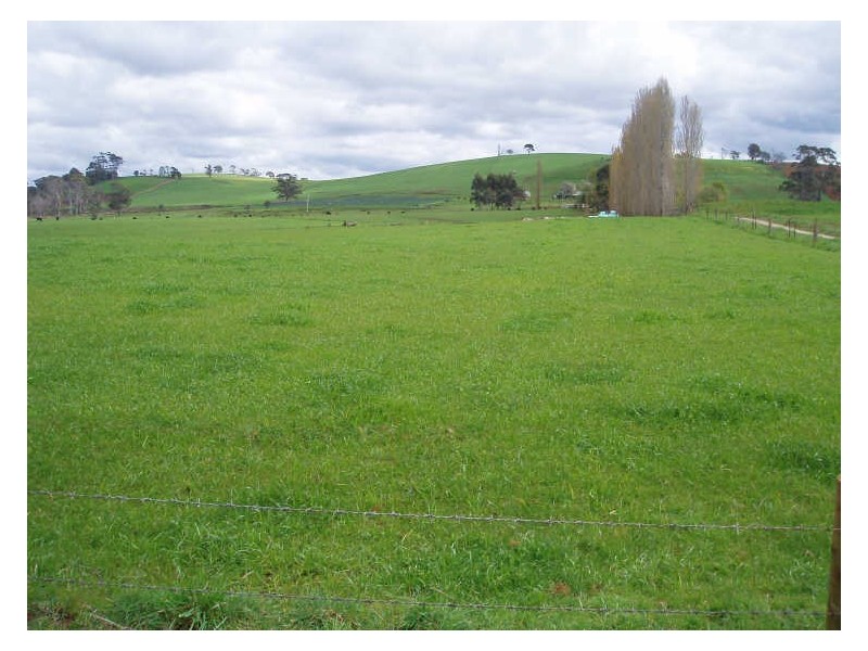 280 Exton Road, Exton TAS 7303
