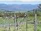 839 Montana Road, Montana TAS 7304