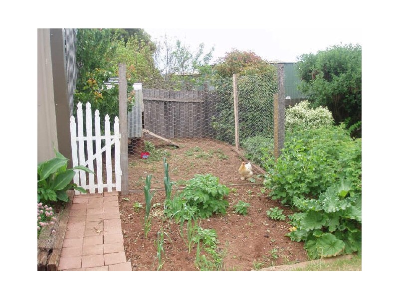 88 William Street, Westbury TAS 7303