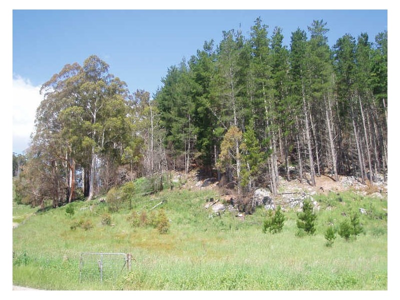 2756 Caveside Road, Mole Creek TAS 7304